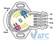 Cảm biến vị trí bướm ga: Chức năng, cấu tạo và nguyên lý