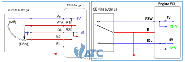 Cảm biến vị trí bướm ga: Chức năng, cấu tạo và nguyên lý